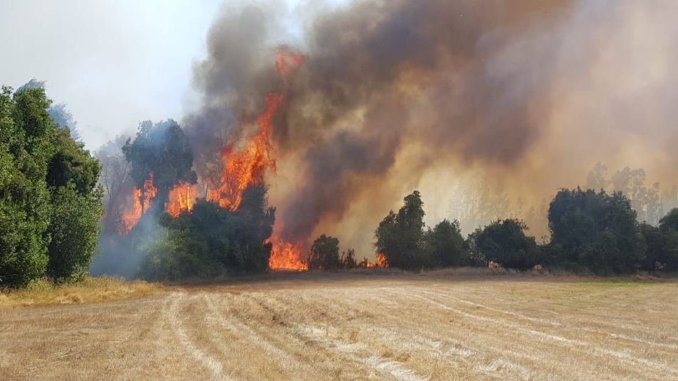 Esta temporada se han quemado el triple hectáreas en incendios forestales
